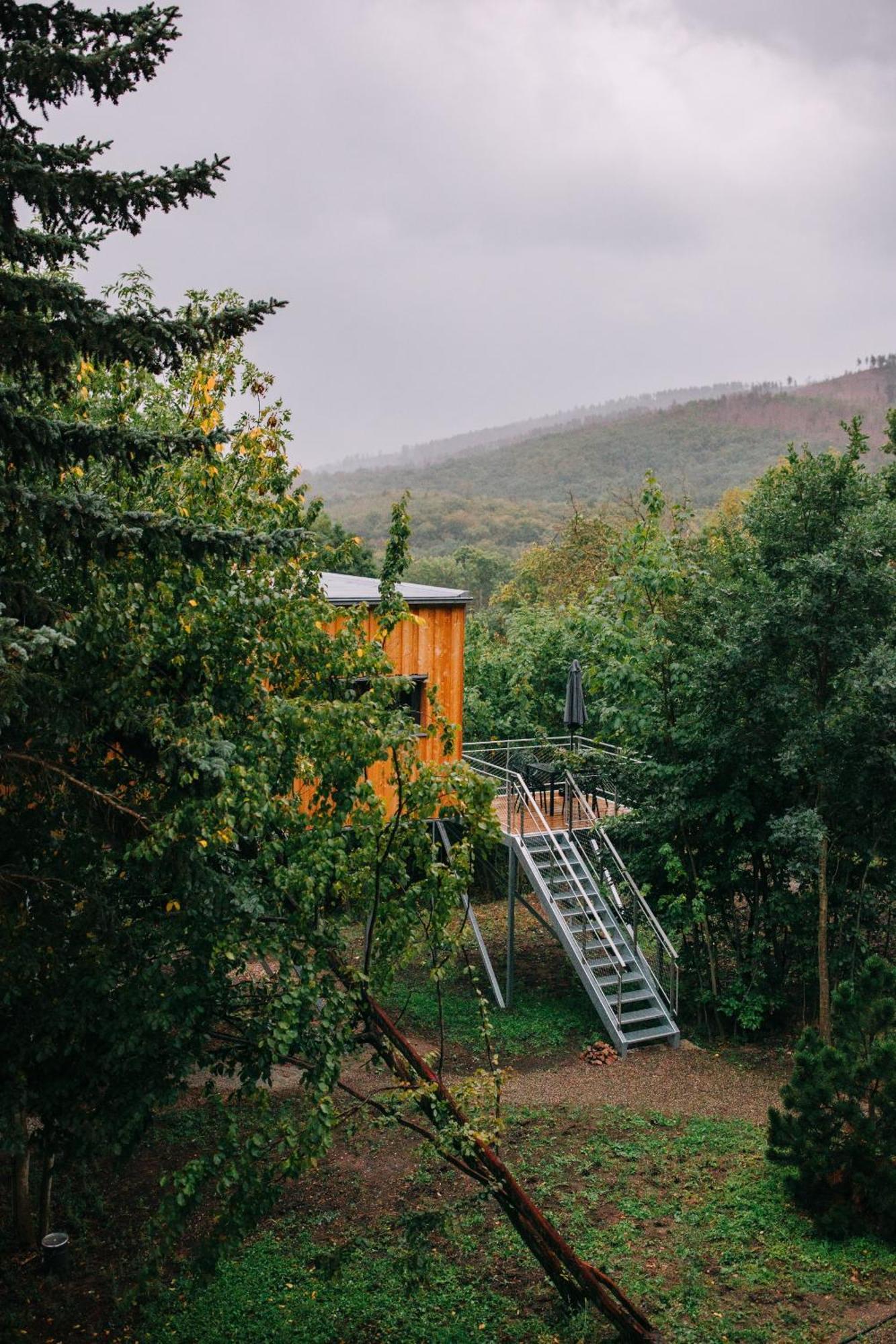 Baumwipfel-Resort "Lug Ins Land" Ilsenburg Εξωτερικό φωτογραφία